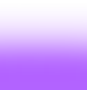 fundorodapé.png